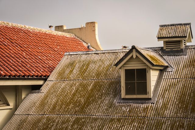 Smarter From the Top Down: How AI Tools Are Changing Roofing and Exterior Services