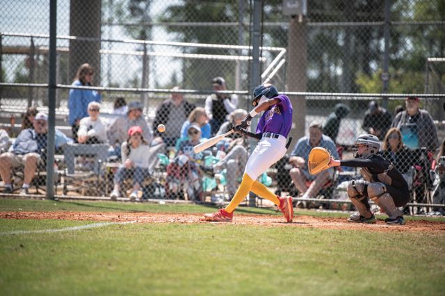 The New Playbook for Batting Cages: AI Tools, Player Development, and Better Training Decisions